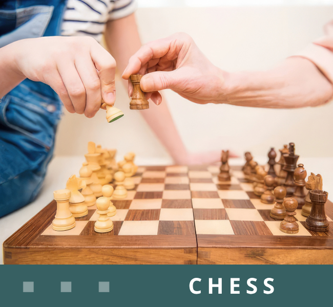 Learn to Play Chess!