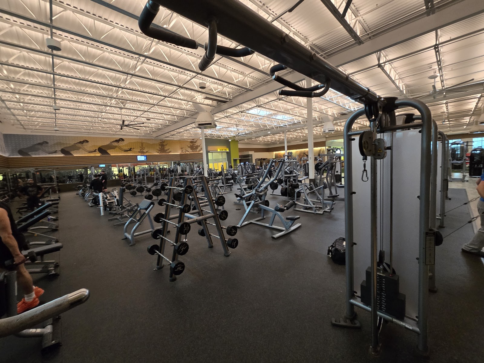 LA Fitness — photo