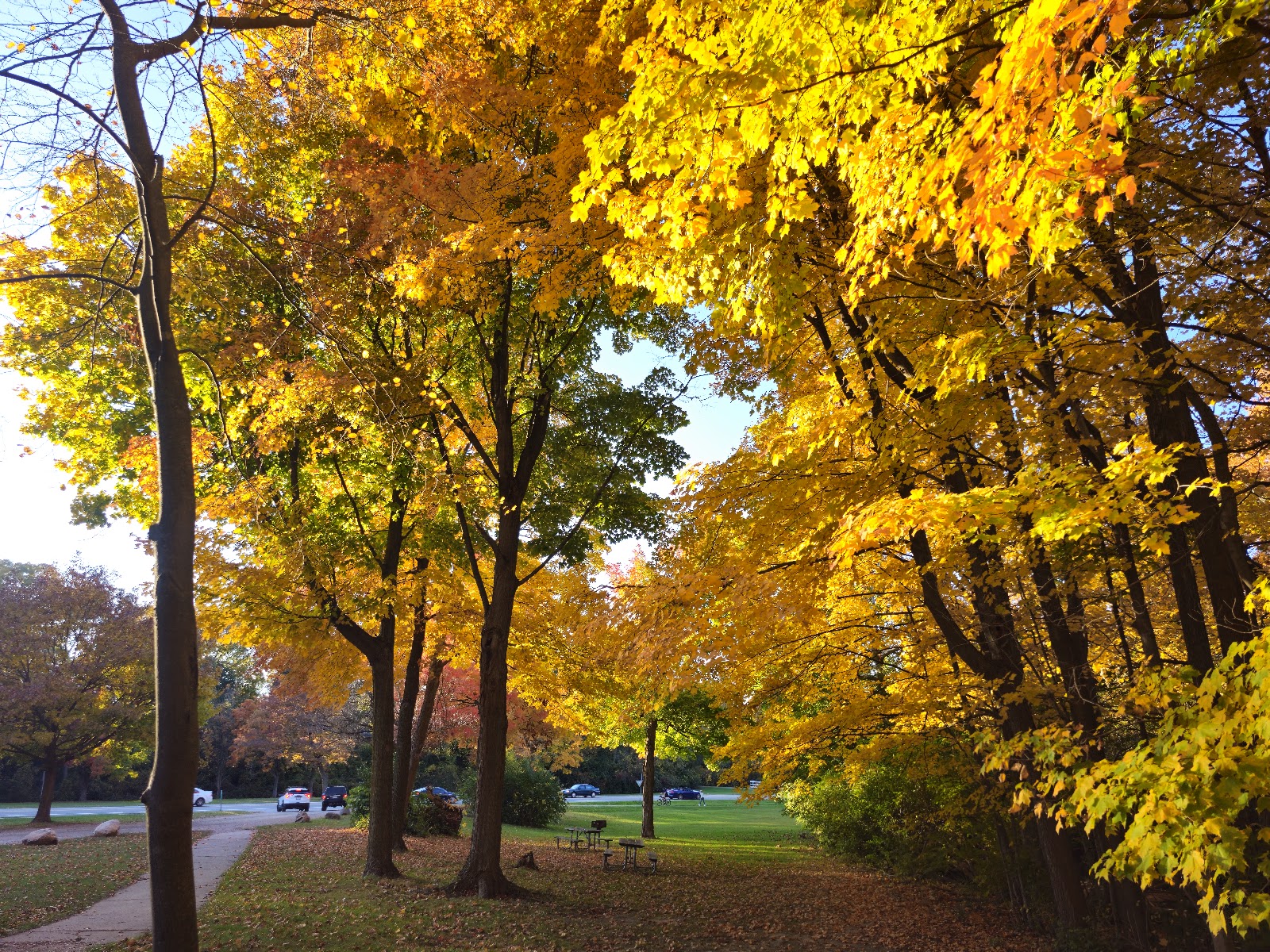 Plymouth Riverside Recreation Area in Plymouth