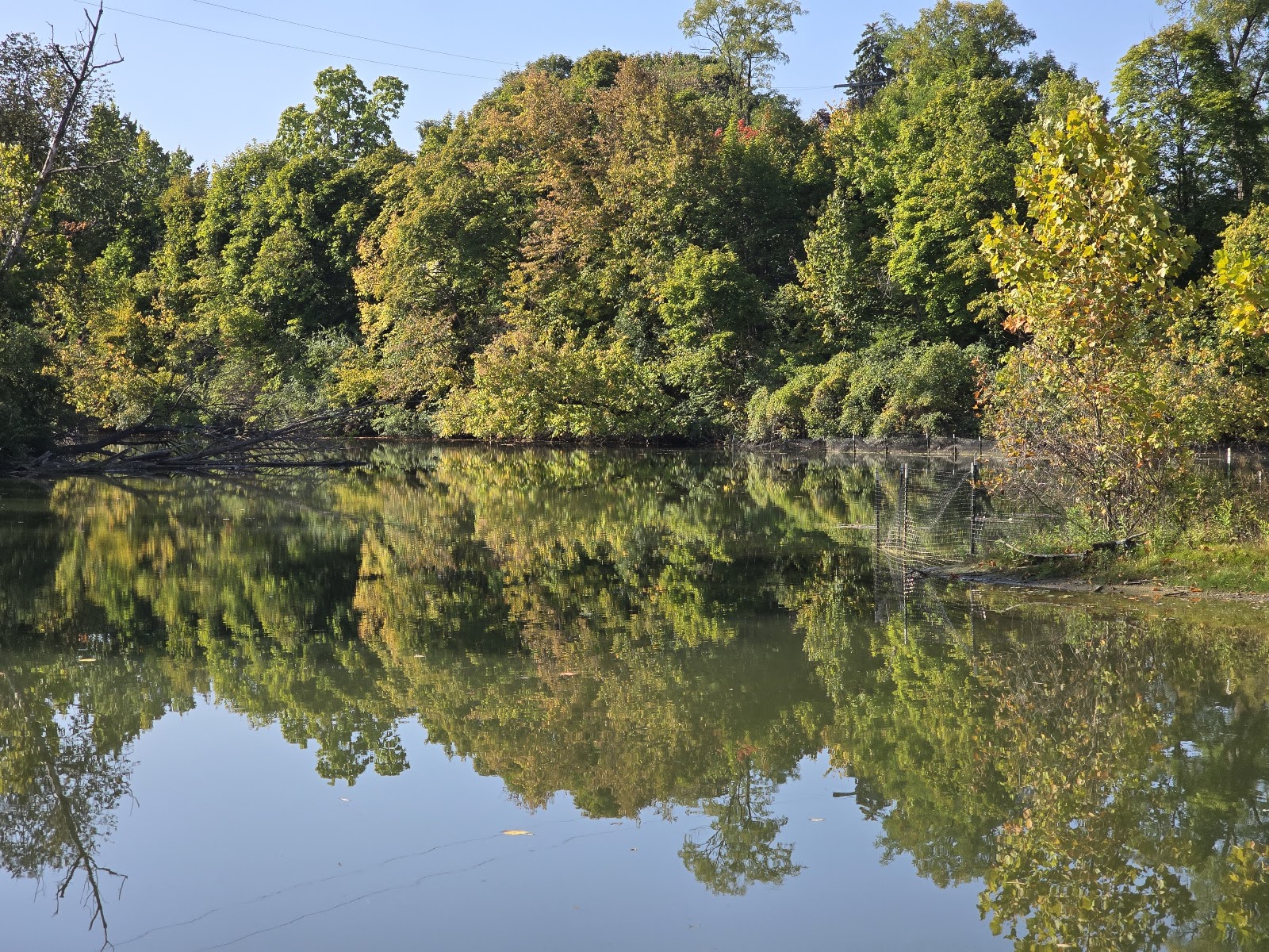Wilcox Lake Hines Park Recreation Area in Plymouth